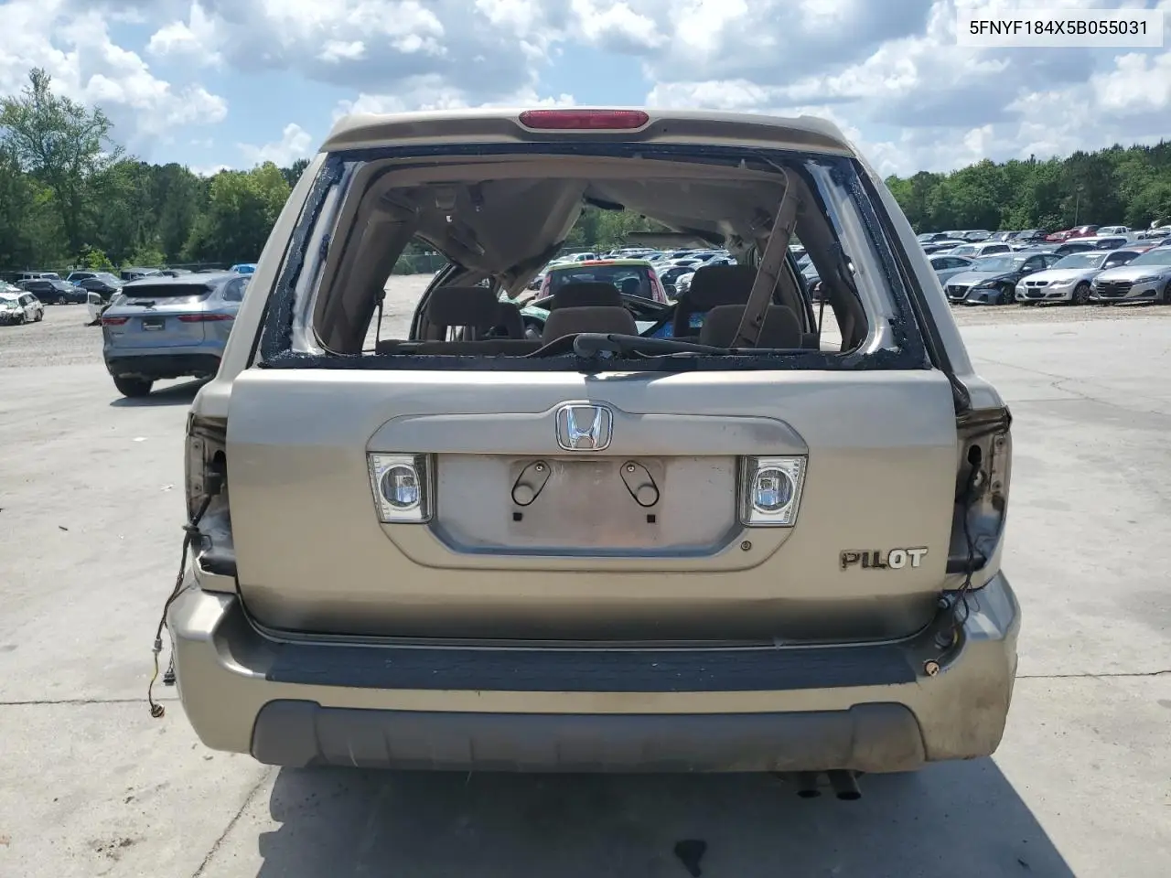 2005 Honda Pilot Ex VIN: 5FNYF184X5B055031 Lot: 55014655