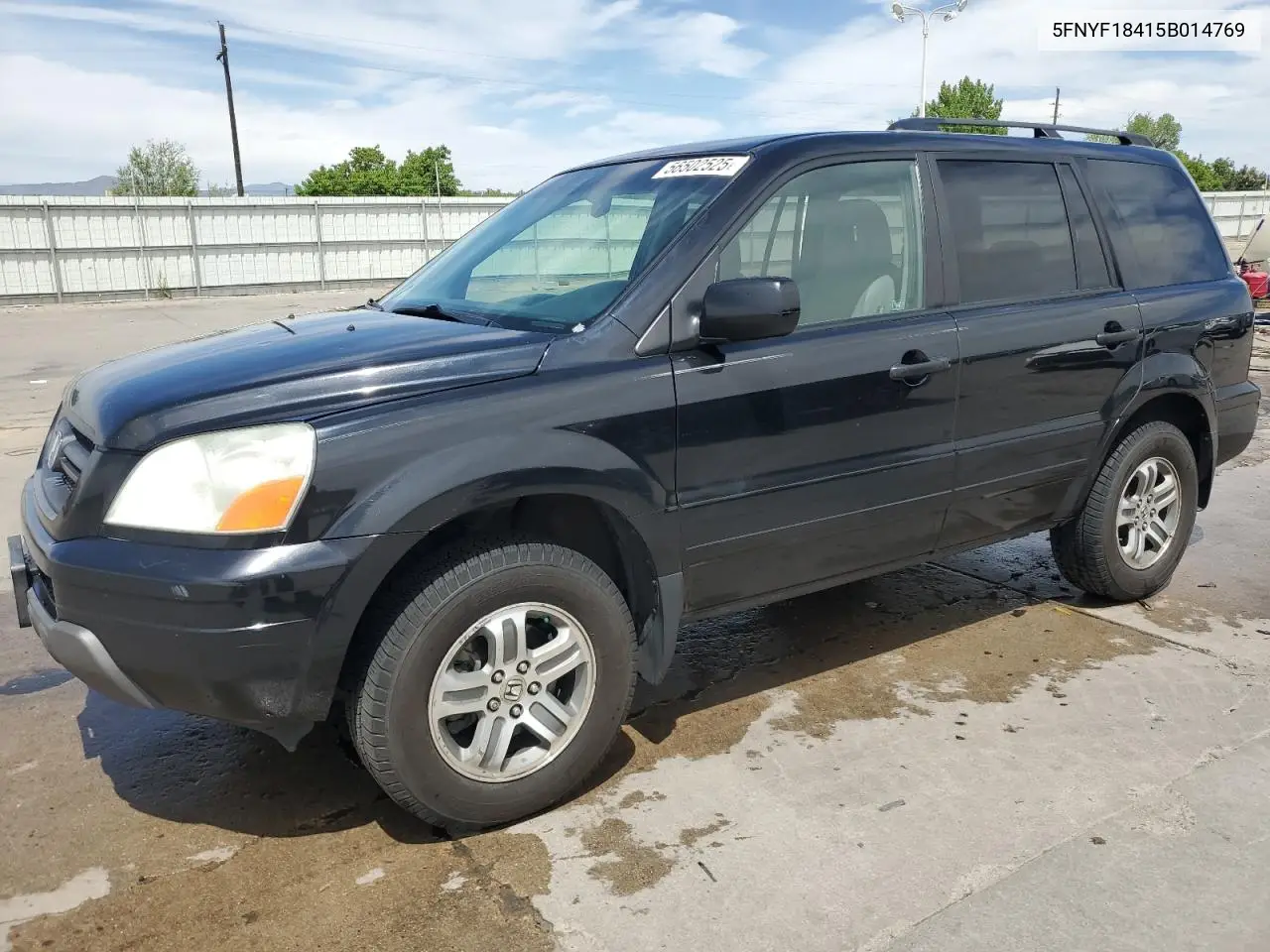 2005 Honda Pilot Ex VIN: 5FNYF18415B014769 Lot: 56502525