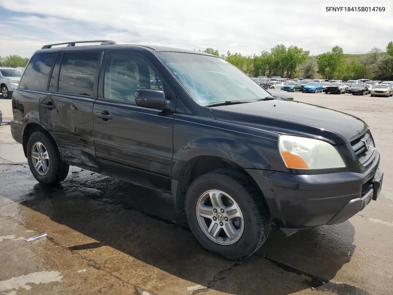 2005 Honda Pilot Ex VIN: 5FNYF18415B014769 Lot: 56502525