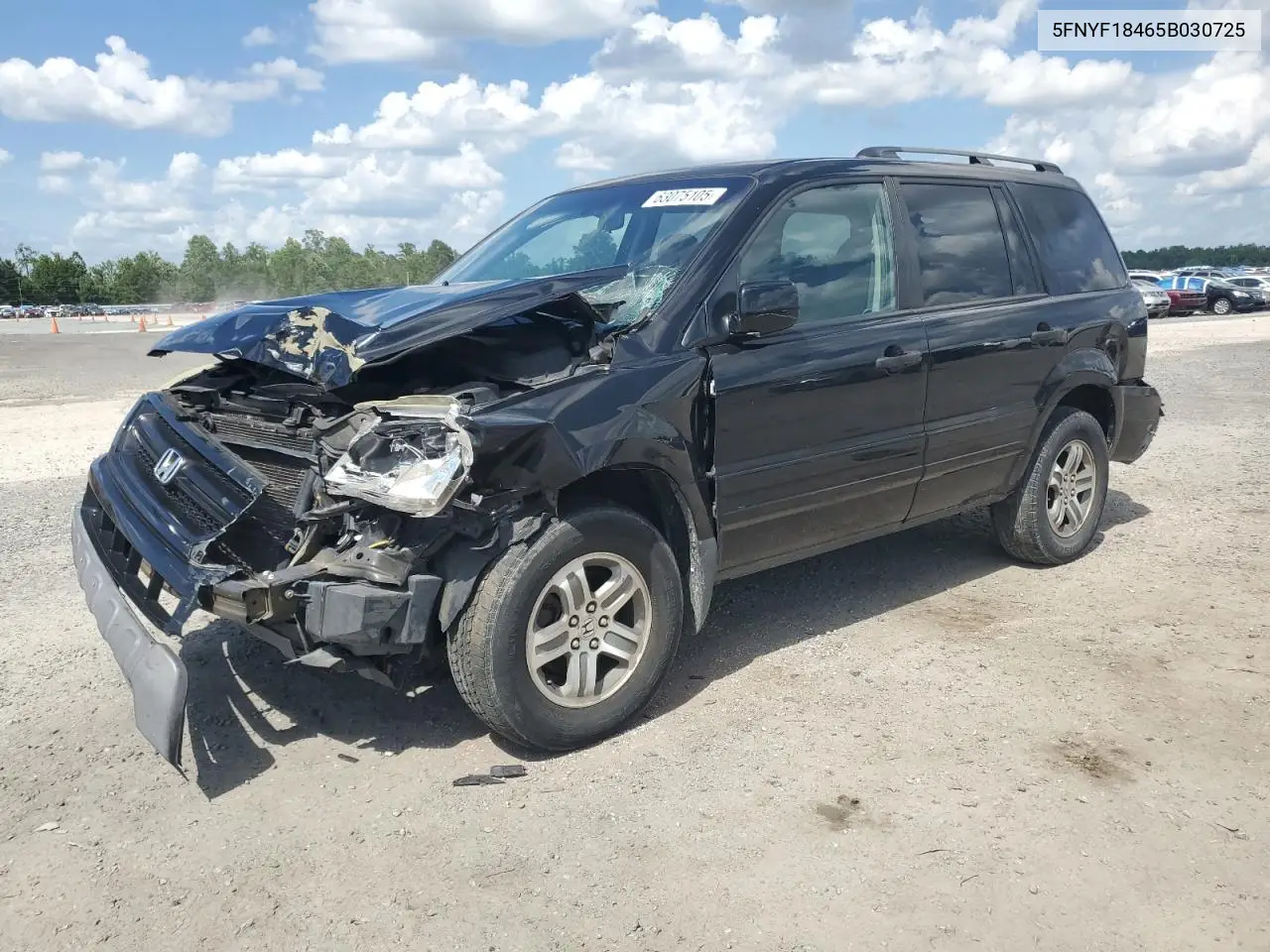 2005 Honda Pilot Ex VIN: 5FNYF18465B030725 Lot: 63075105