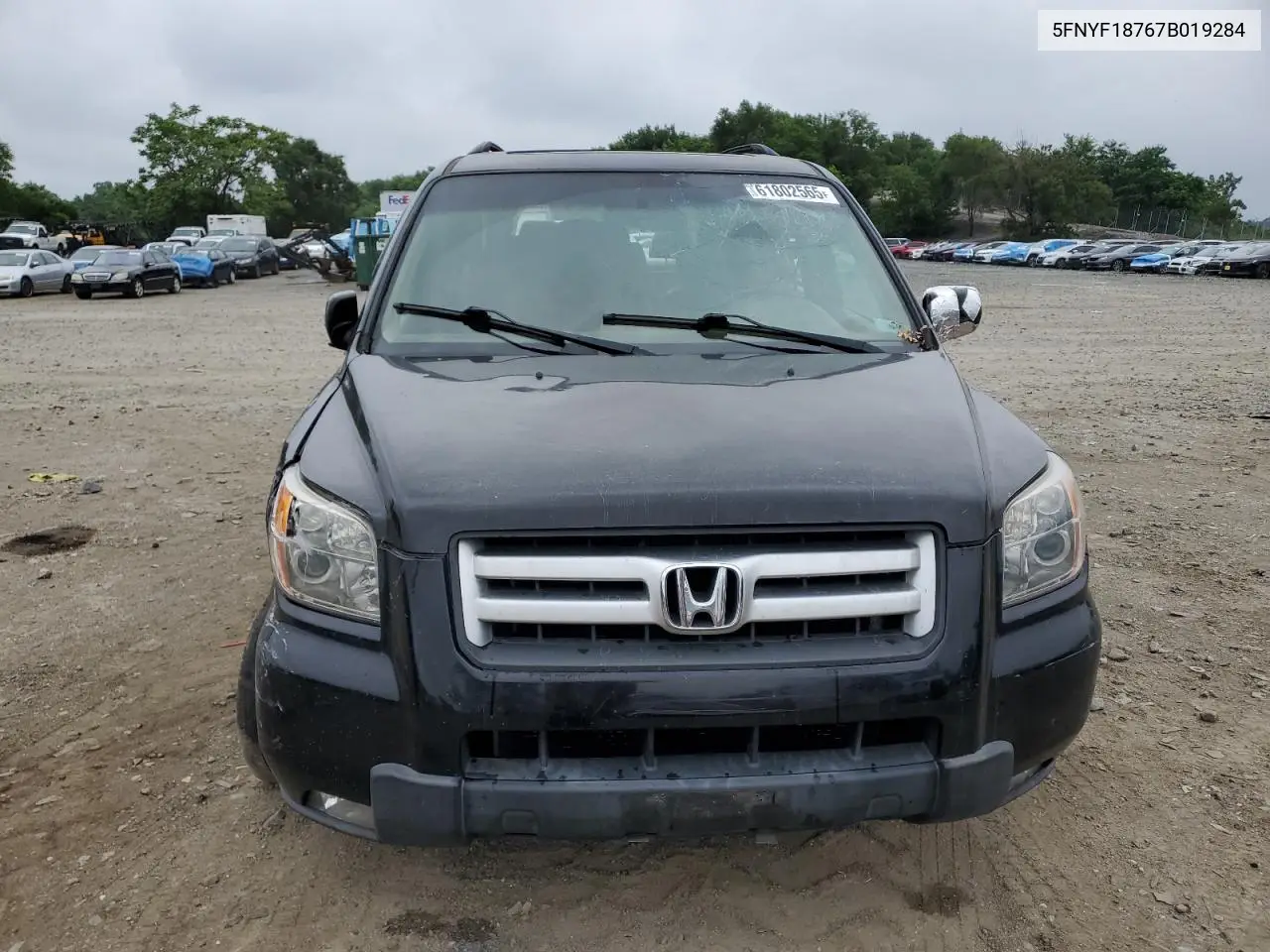 2007 Honda Pilot Exl VIN: 5FNYF18767B019284 Lot: 61802565