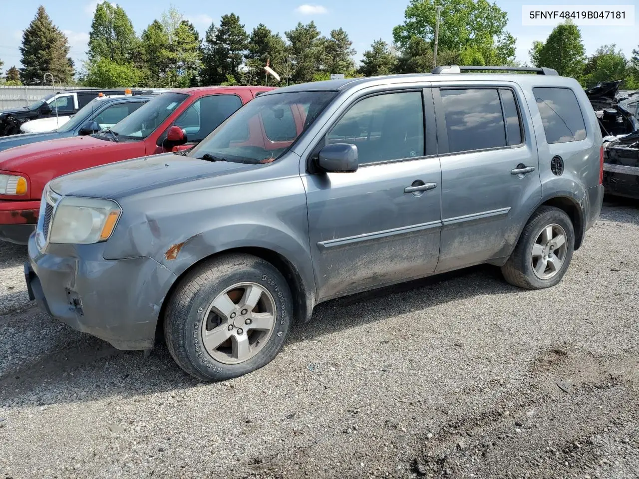 2009 Honda Pilot Ex VIN: 5FNYF48419B047181 Lot: 57092585