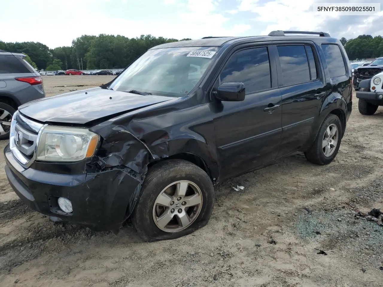 2009 Honda Pilot Exl VIN: 5FNYF38509B025501 Lot: 58987525