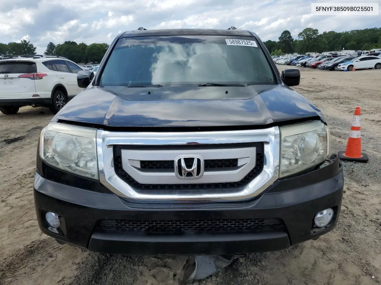 2009 Honda Pilot Exl VIN: 5FNYF38509B025501 Lot: 58987525