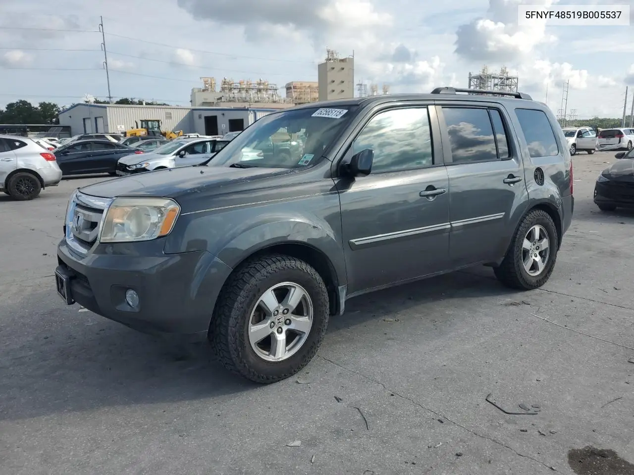 2009 Honda Pilot Exl VIN: 5FNYF48519B005537 Lot: 62565115