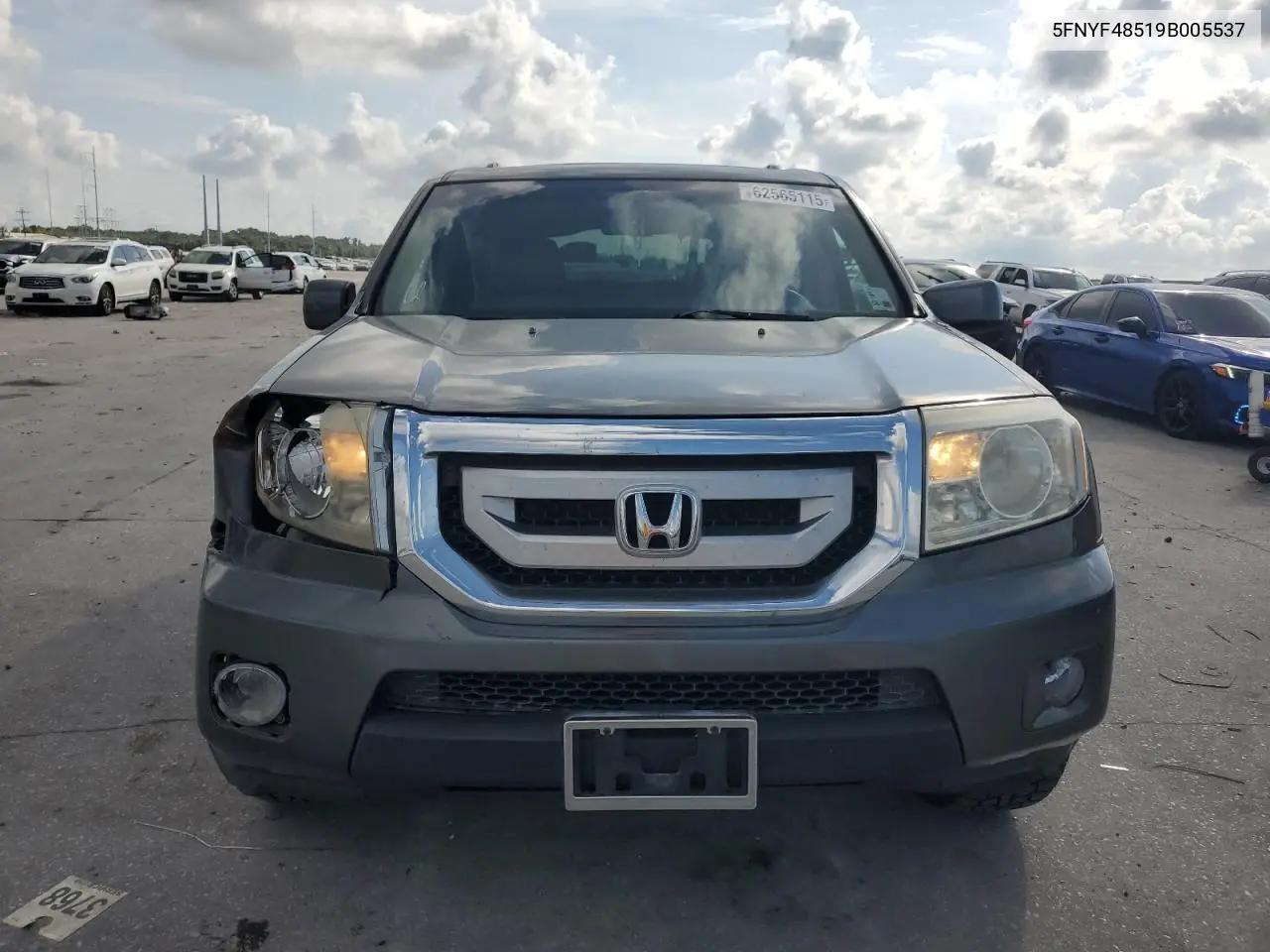 2009 Honda Pilot Exl VIN: 5FNYF48519B005537 Lot: 62565115