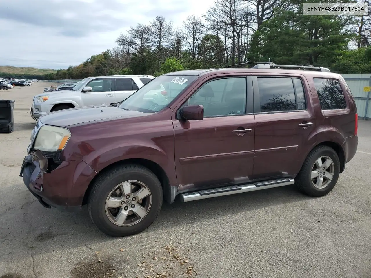 2009 Honda Pilot Exl VIN: 5FNYF48529B017504 Lot: 62790175