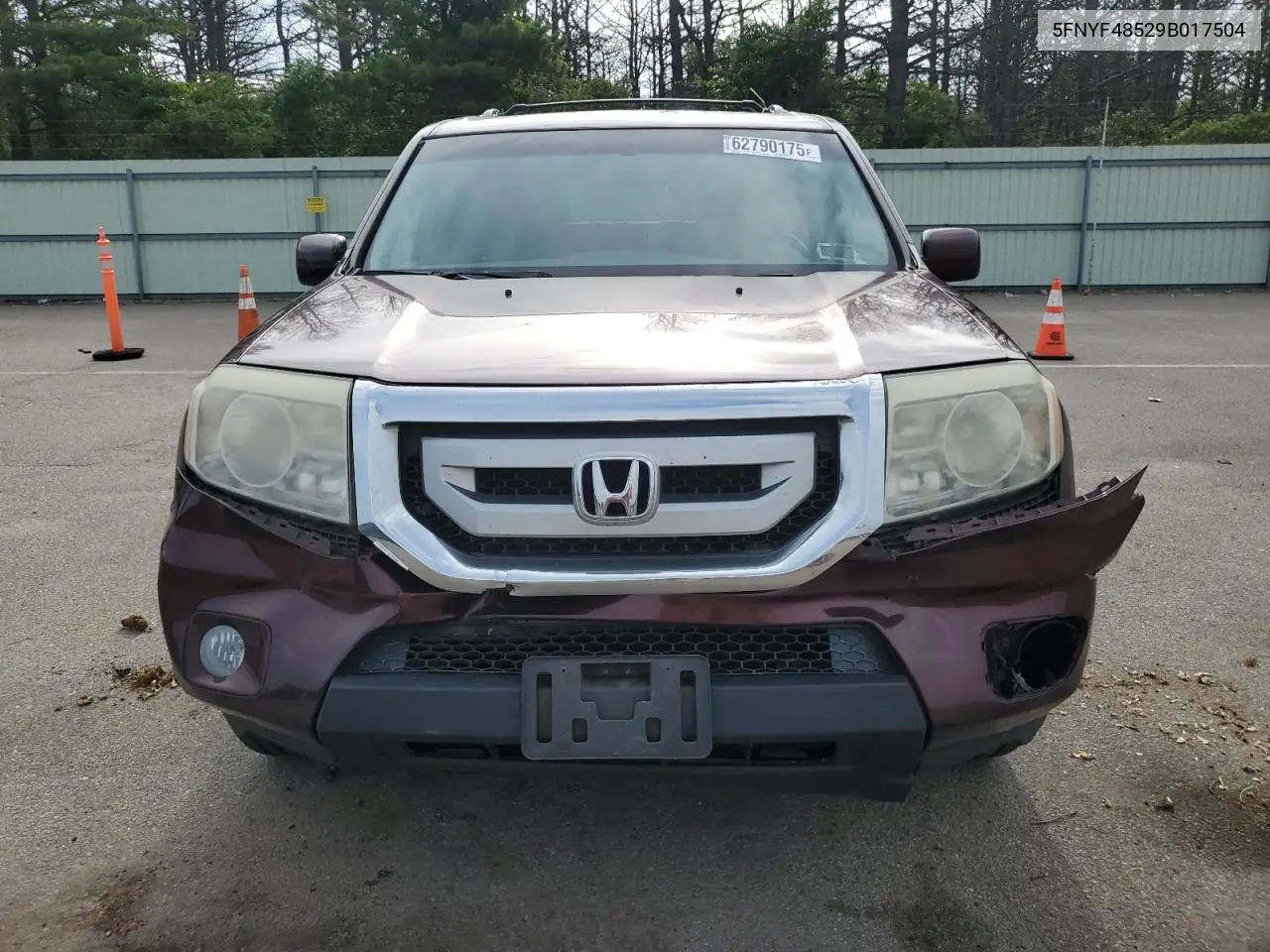 2009 Honda Pilot Exl VIN: 5FNYF48529B017504 Lot: 62790175
