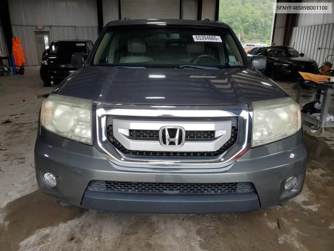 2009 Honda Pilot Exl VIN: 5FNYF48589B001100 Lot: 65394665
