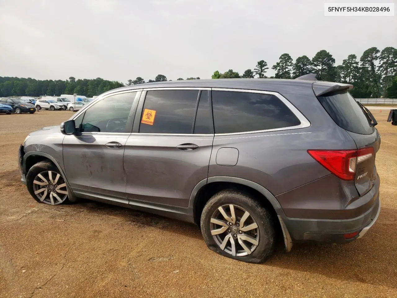2019 Honda Pilot Ex VIN: 5FNYF5H34KB028496 Lot: 56552835
