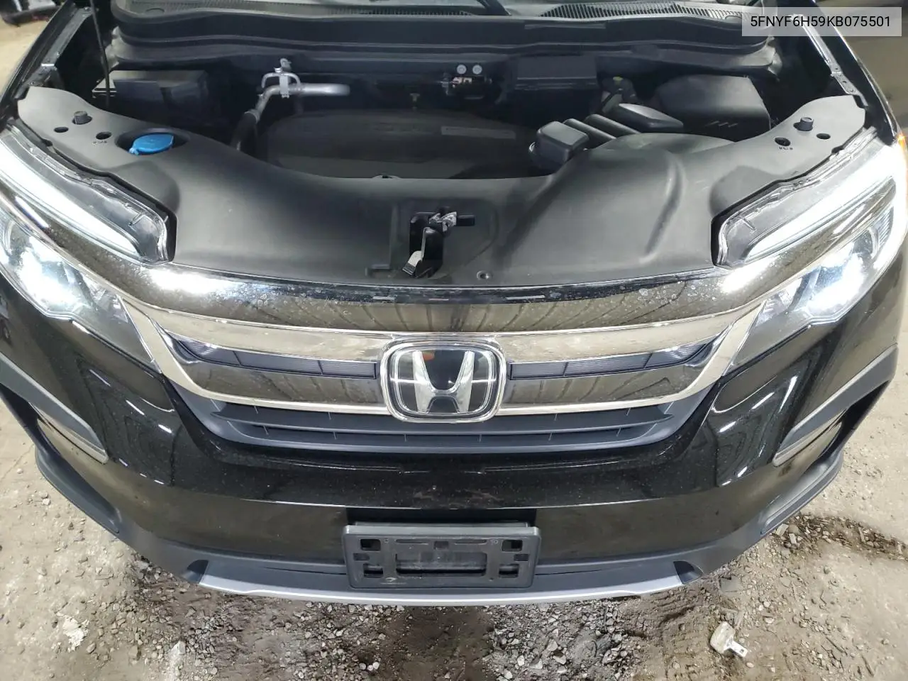 2019 Honda Pilot Exl VIN: 5FNYF6H59KB075501 Lot: 56922115
