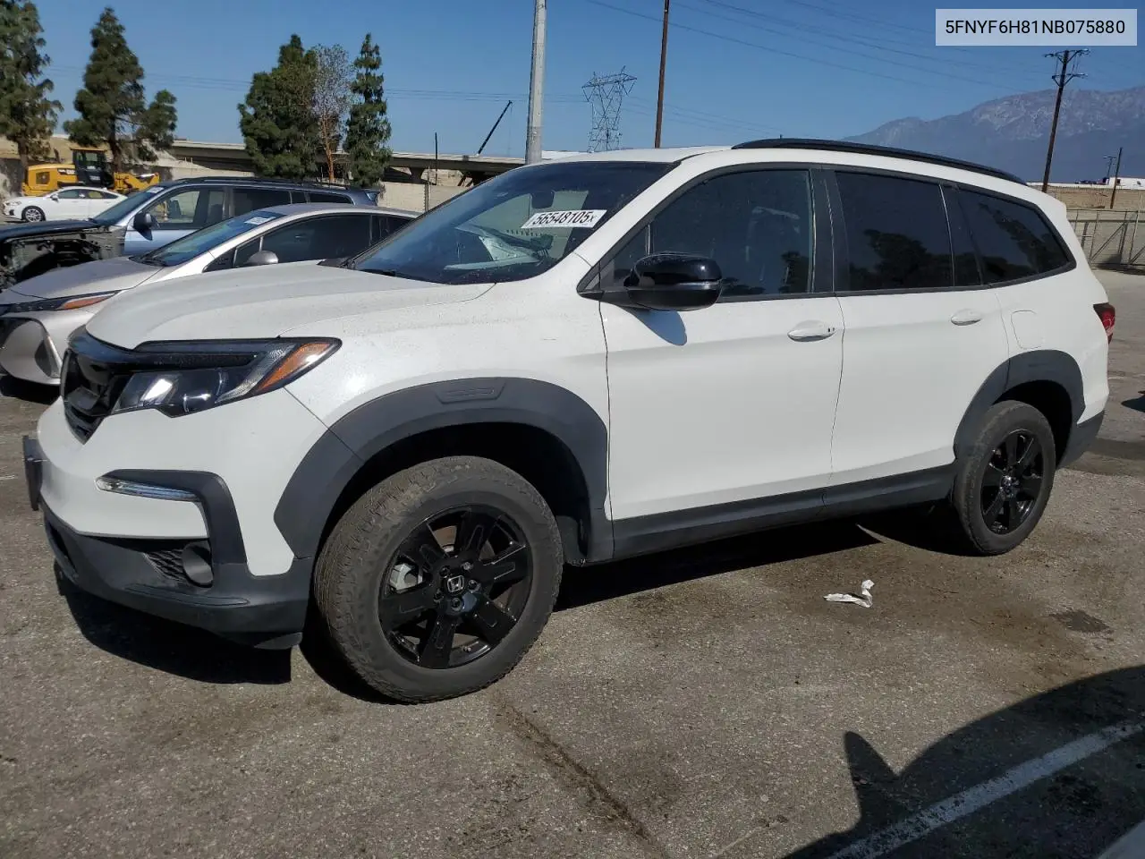 2022 Honda Pilot Trailsport VIN: 5FNYF6H81NB075880 Lot: 56548105