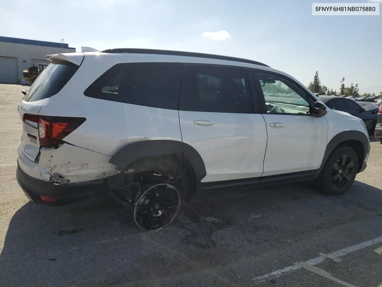 2022 Honda Pilot Trailsport VIN: 5FNYF6H81NB075880 Lot: 56548105
