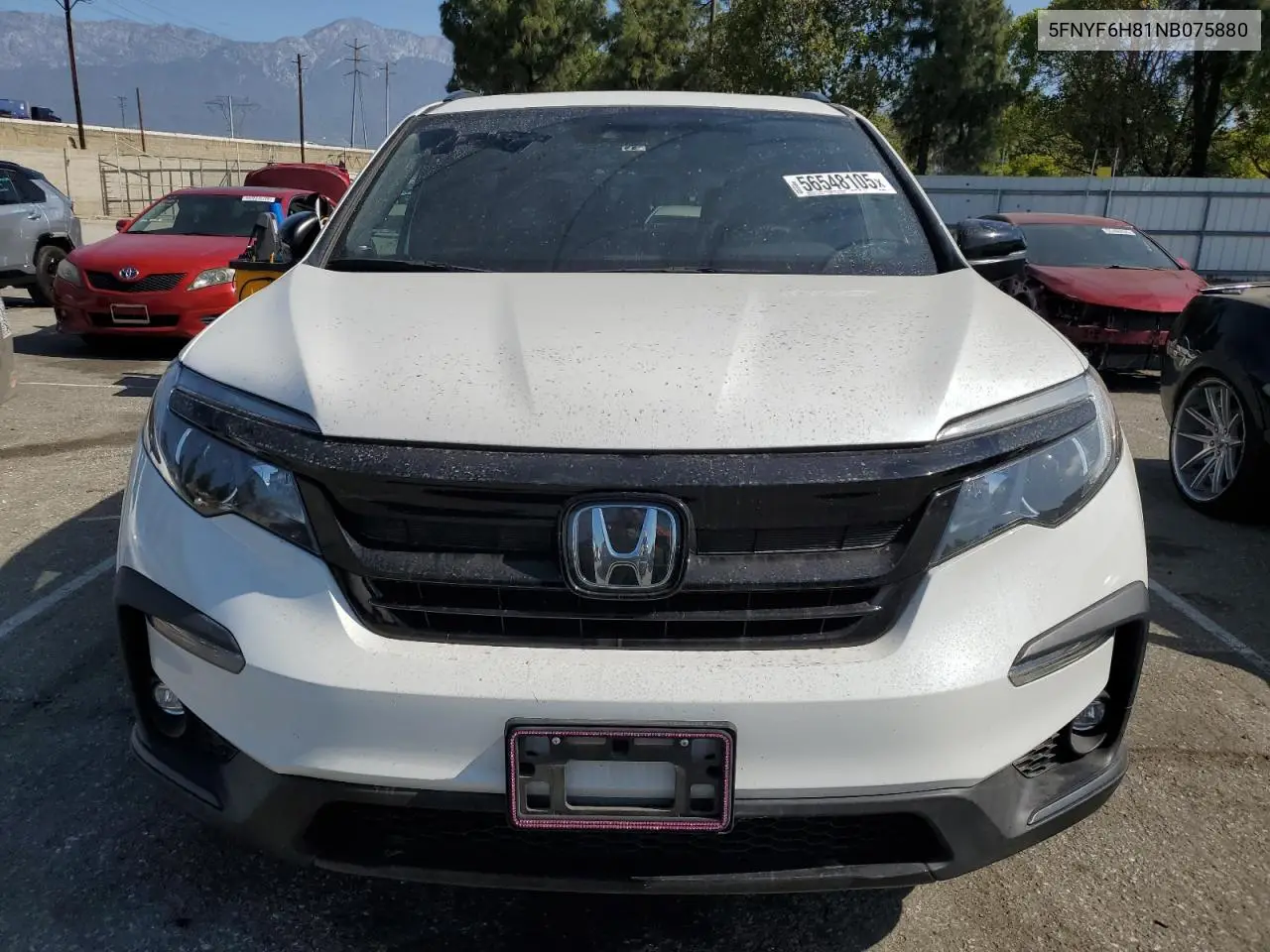 2022 Honda Pilot Trailsport VIN: 5FNYF6H81NB075880 Lot: 56548105