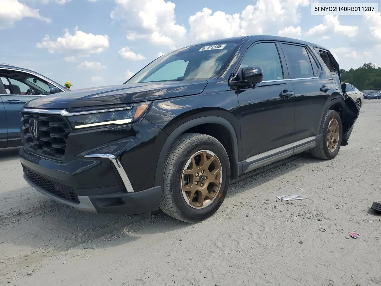 2024 Honda Pilot Exl VIN: 5FNYG2H40RB011287 Lot: 61612885