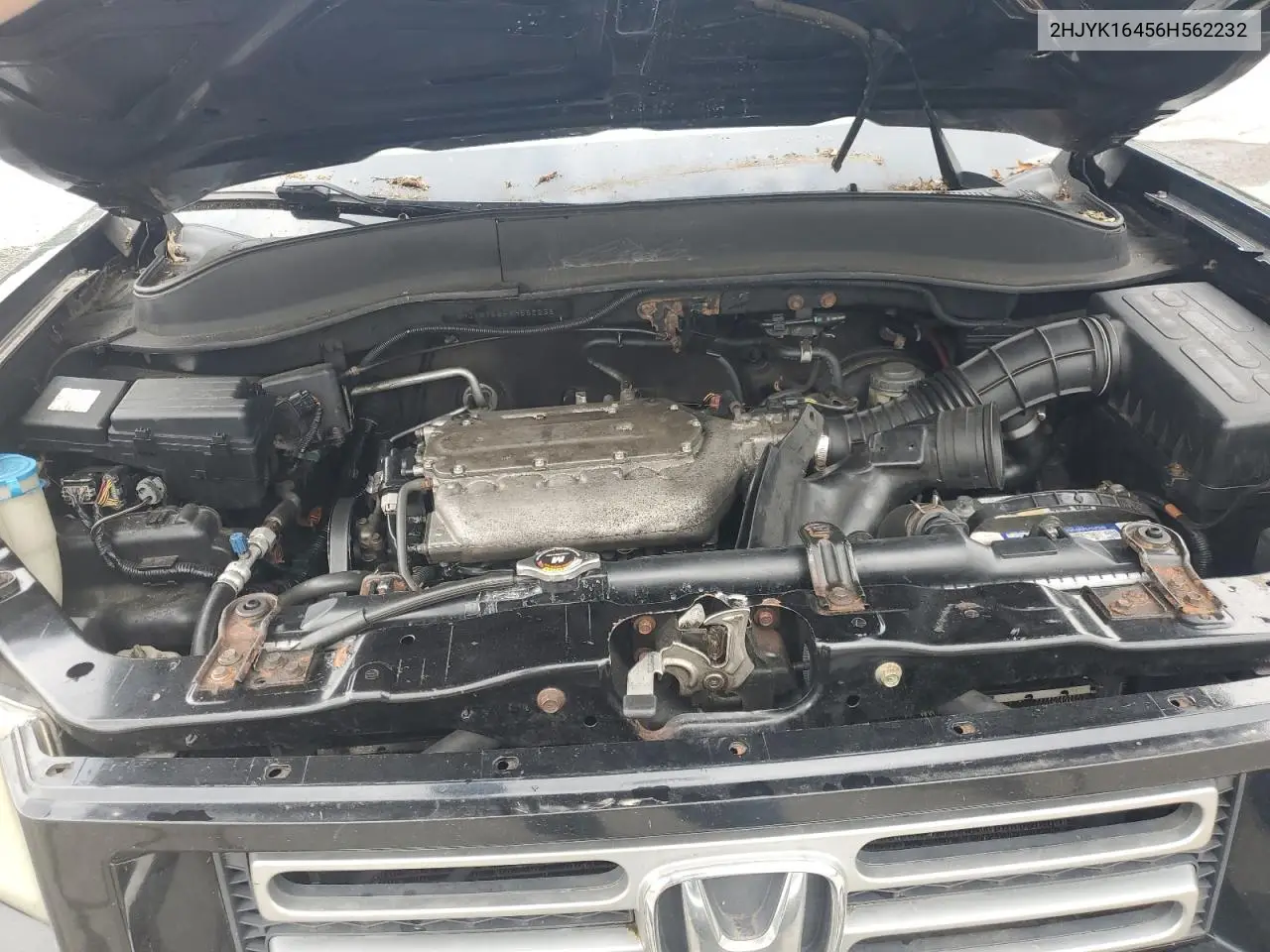 2006 Honda Ridgeline Rts VIN: 2HJYK16456H562232 Lot: 62427905