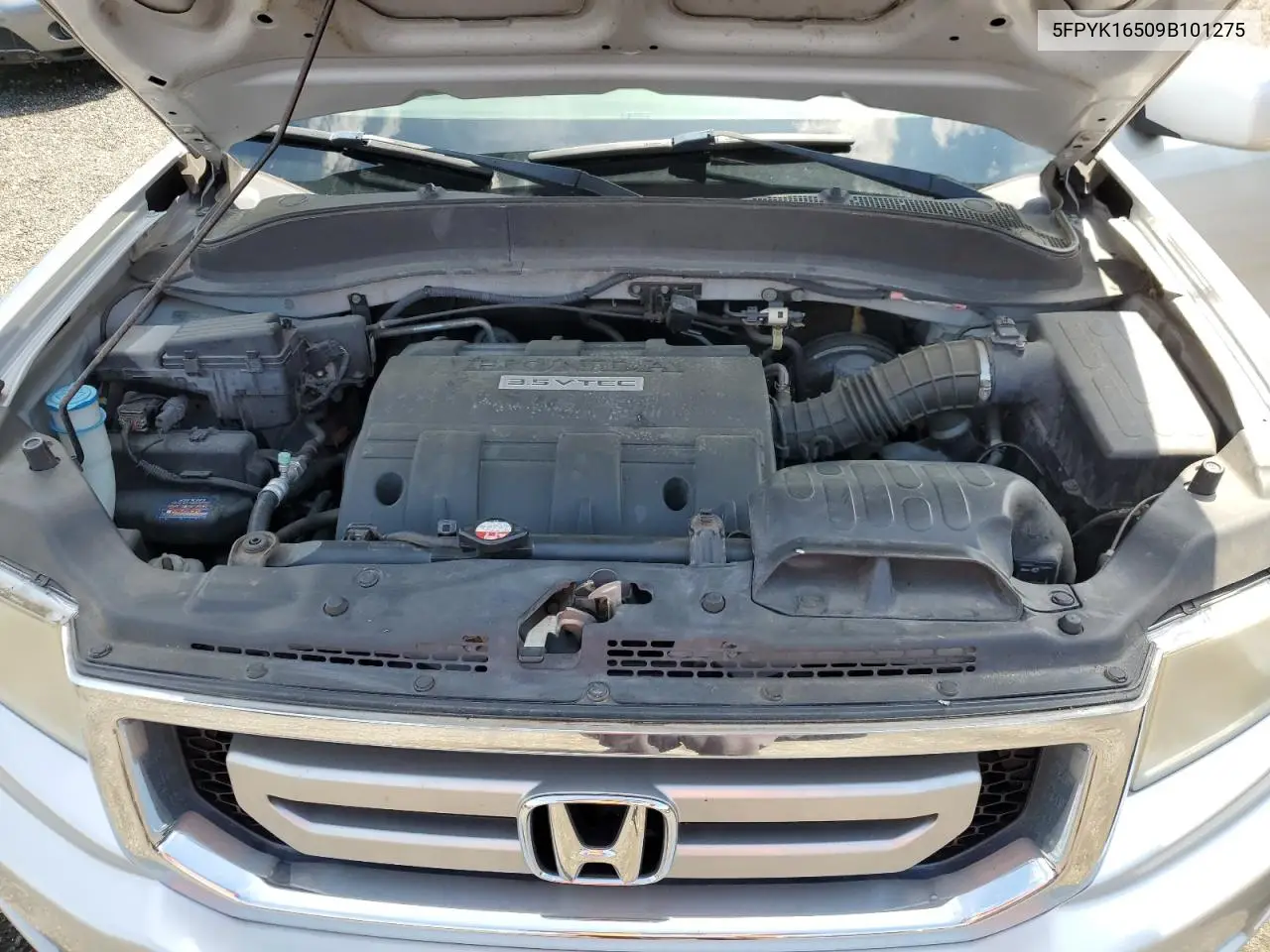 2009 Honda Ridgeline Rtl VIN: 5FPYK16509B101275 Lot: 63528145