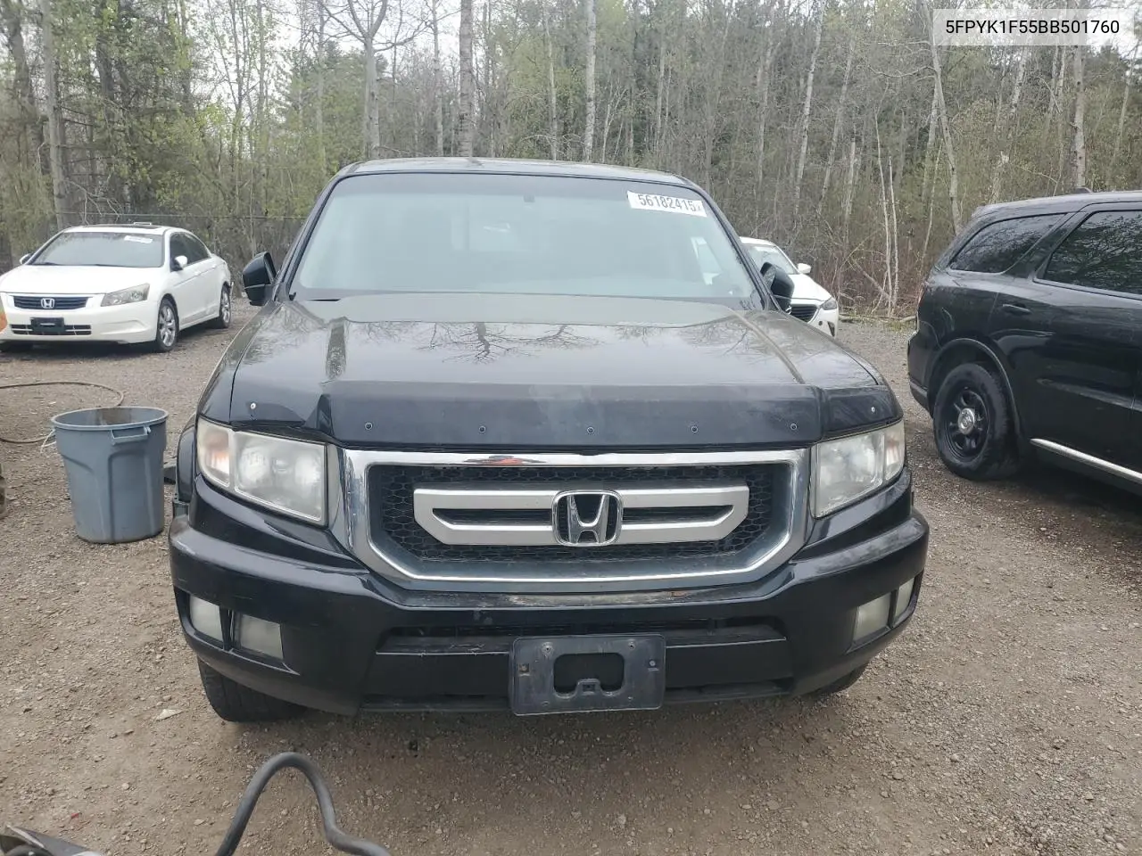 2011 Honda Ridgeline Rtl VIN: 5FPYK1F55BB501760 Lot: 56182415