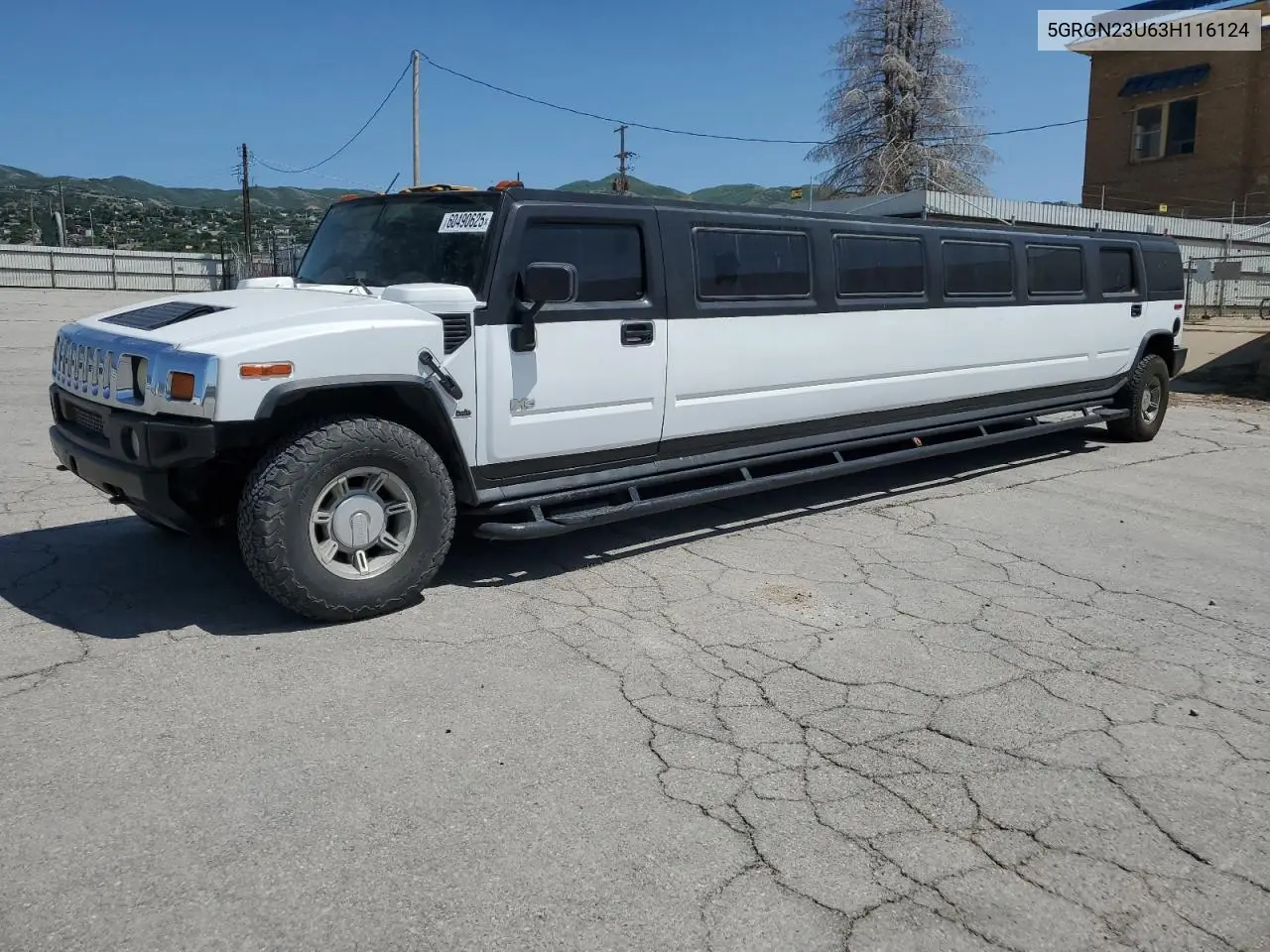 2003 Hummer H2 VIN: 5GRGN23U63H116124 Lot: 60490625