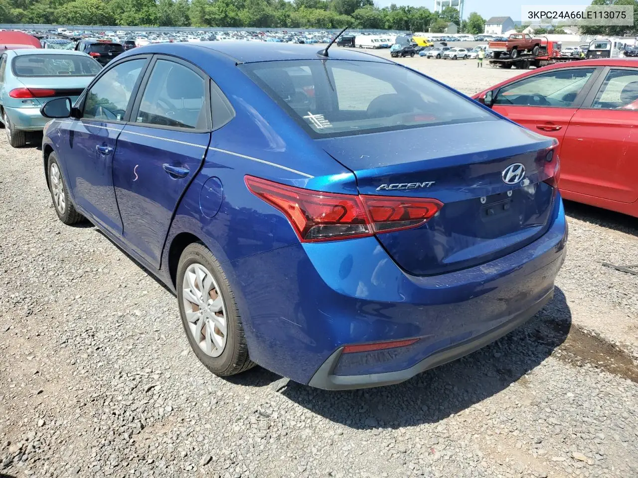 2020 Hyundai Accent Se VIN: 3KPC24A66LE113075 Lot: 61628055