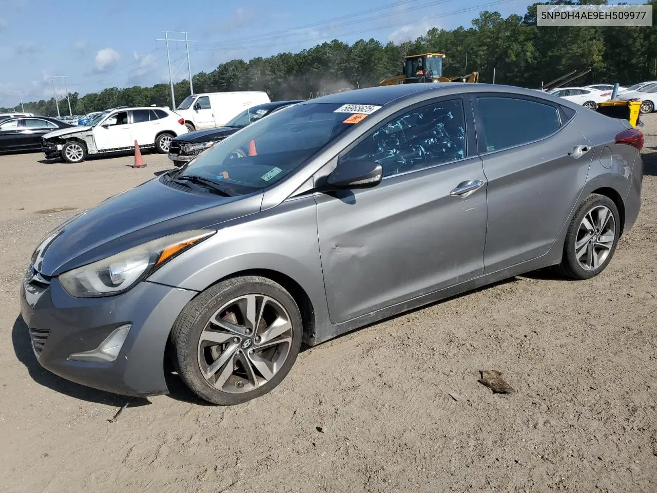 2014 Hyundai Elantra Se VIN: 5NPDH4AE9EH509977 Lot: 56965625