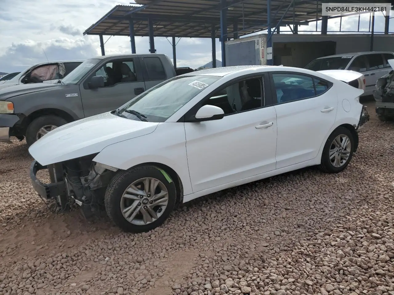 2019 Hyundai Elantra Sel VIN: 5NPD84LF3KH442181 Lot: 45359005