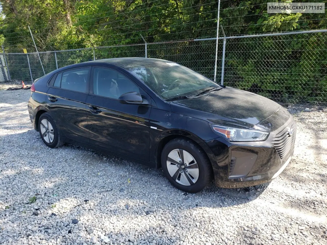 2019 Hyundai Ioniq Blue VIN: KMHC65LCXKU171182 Lot: 62520065