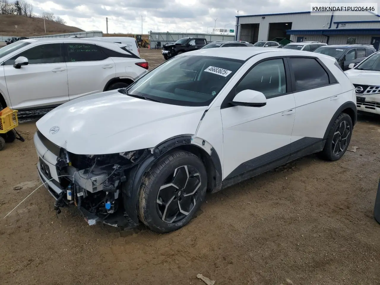 2023 Hyundai Ioniq 5 Sel VIN: KM8KNDAF1PU206446 Lot: 46683625