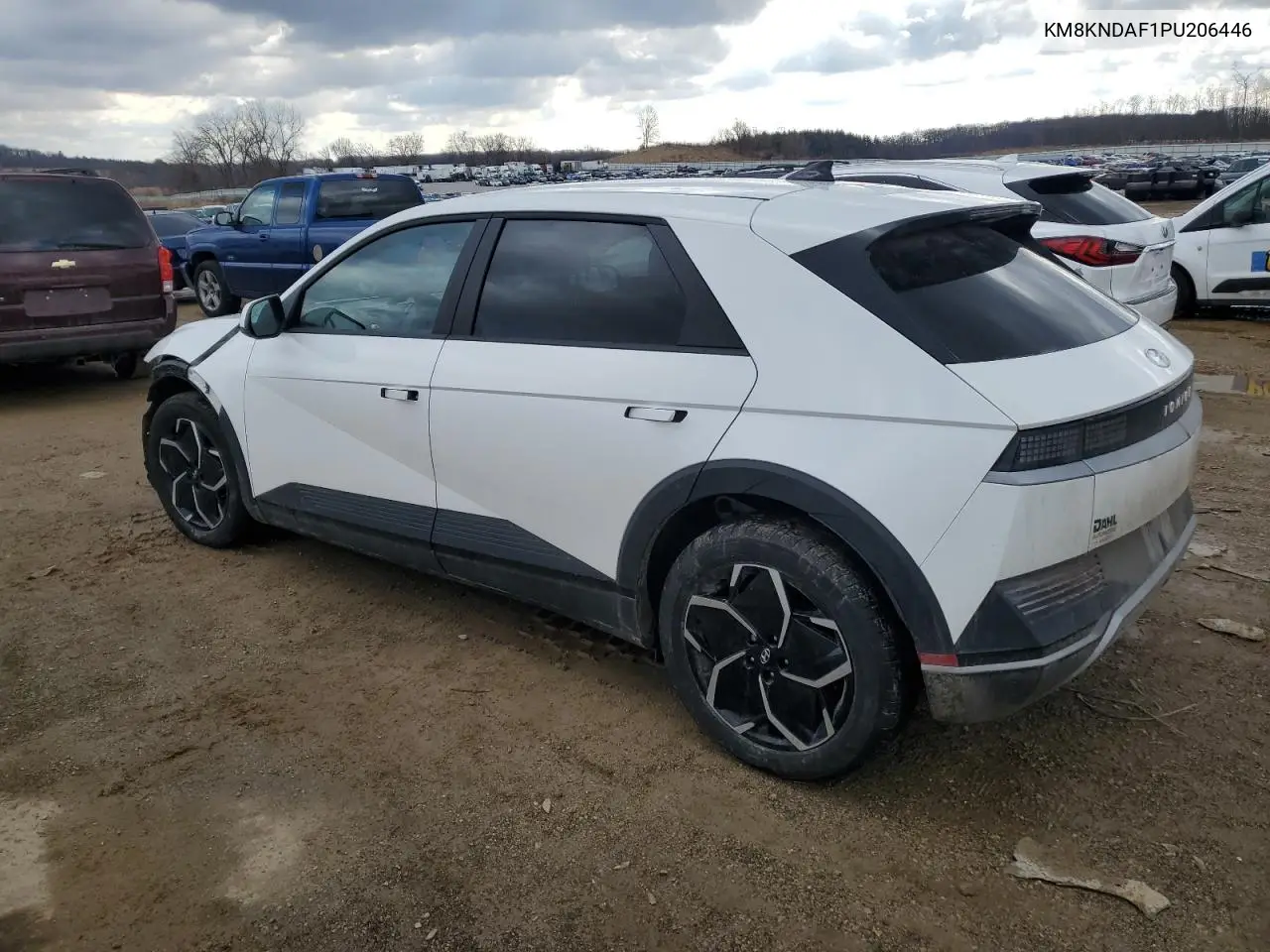 2023 Hyundai Ioniq 5 Sel VIN: KM8KNDAF1PU206446 Lot: 46683625