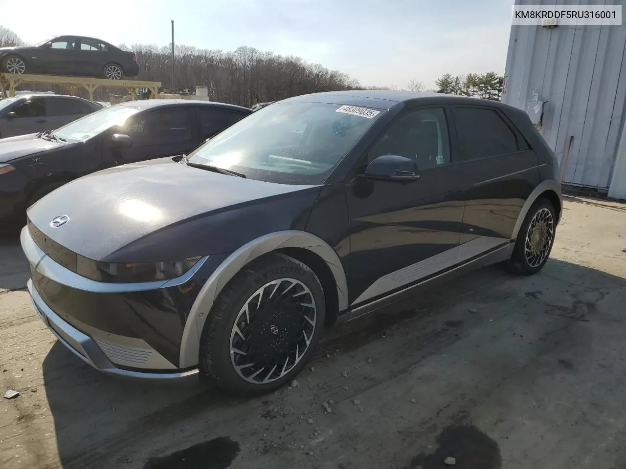 2024 Hyundai Ioniq 5 Limited VIN: KM8KRDDF5RU316001 Lot: 48309035