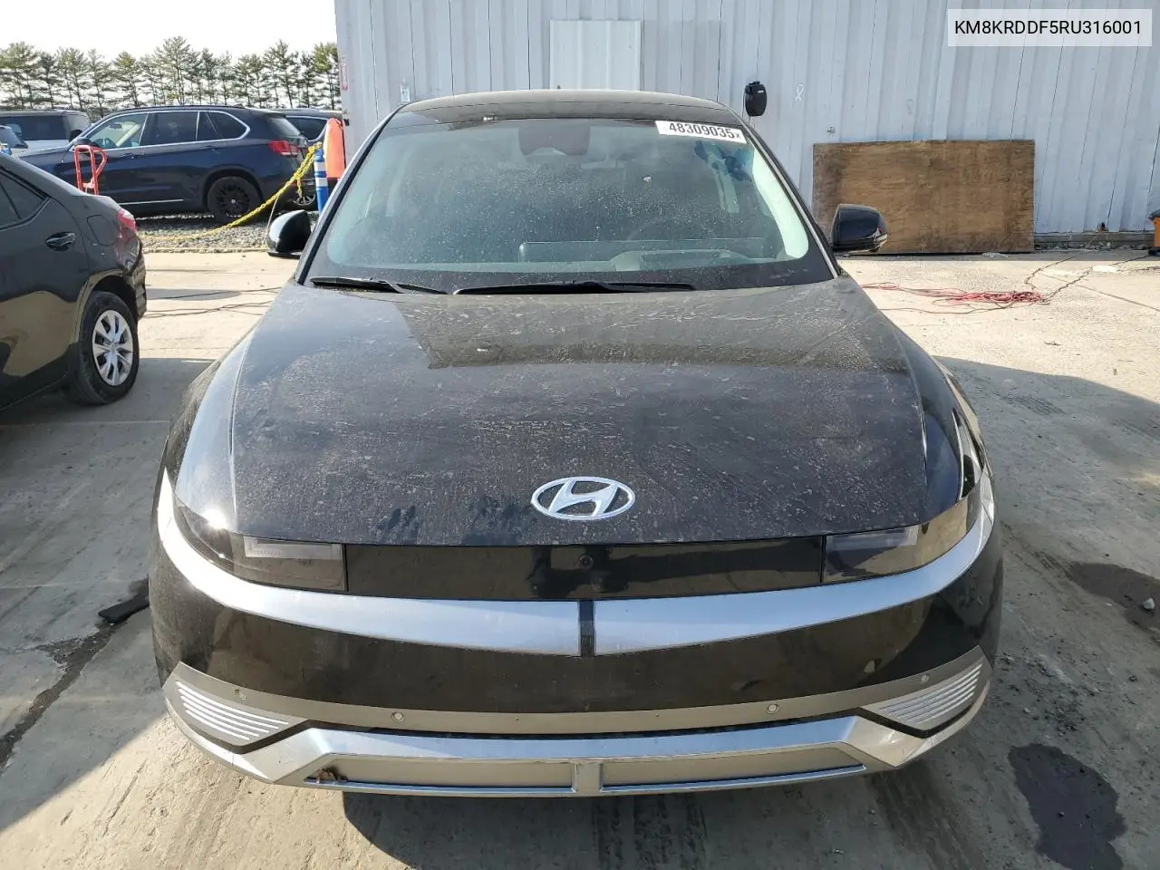2024 Hyundai Ioniq 5 Limited VIN: KM8KRDDF5RU316001 Lot: 48309035