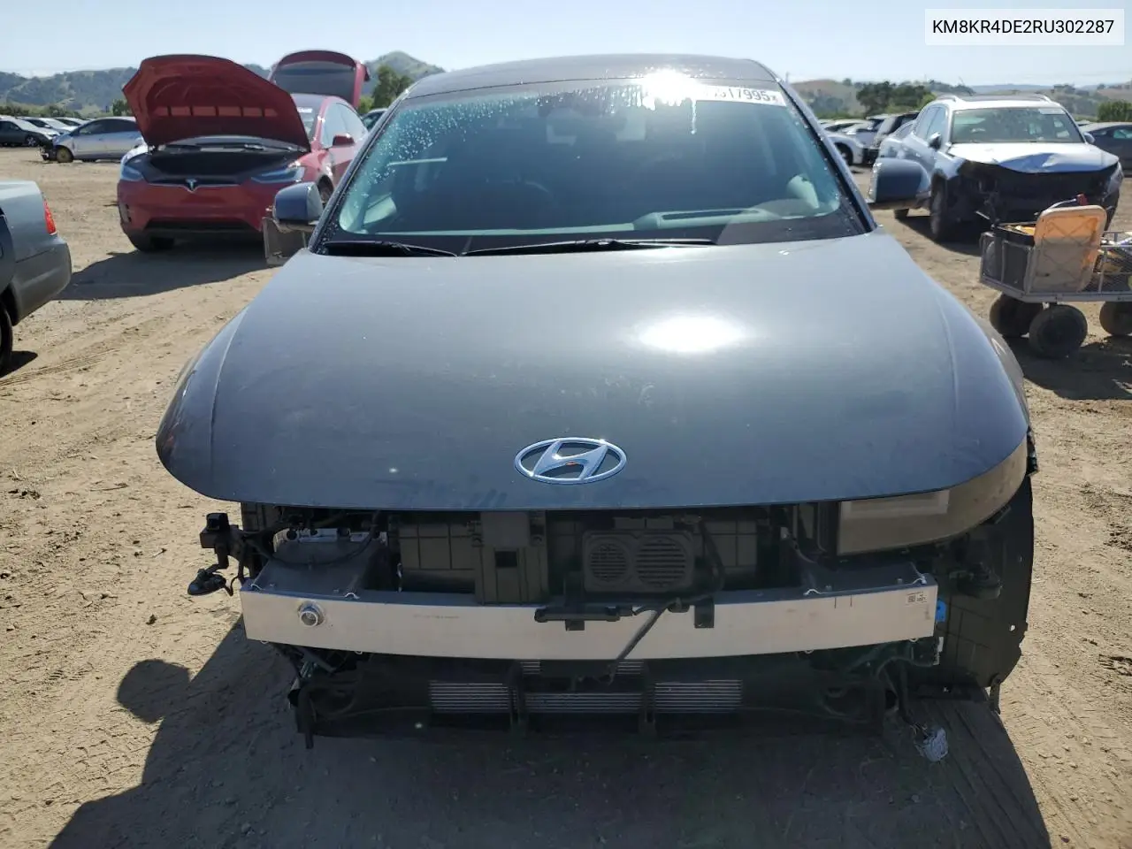 2024 Hyundai Ioniq 5 Limited VIN: KM8KR4DE2RU302287 Lot: 55517995