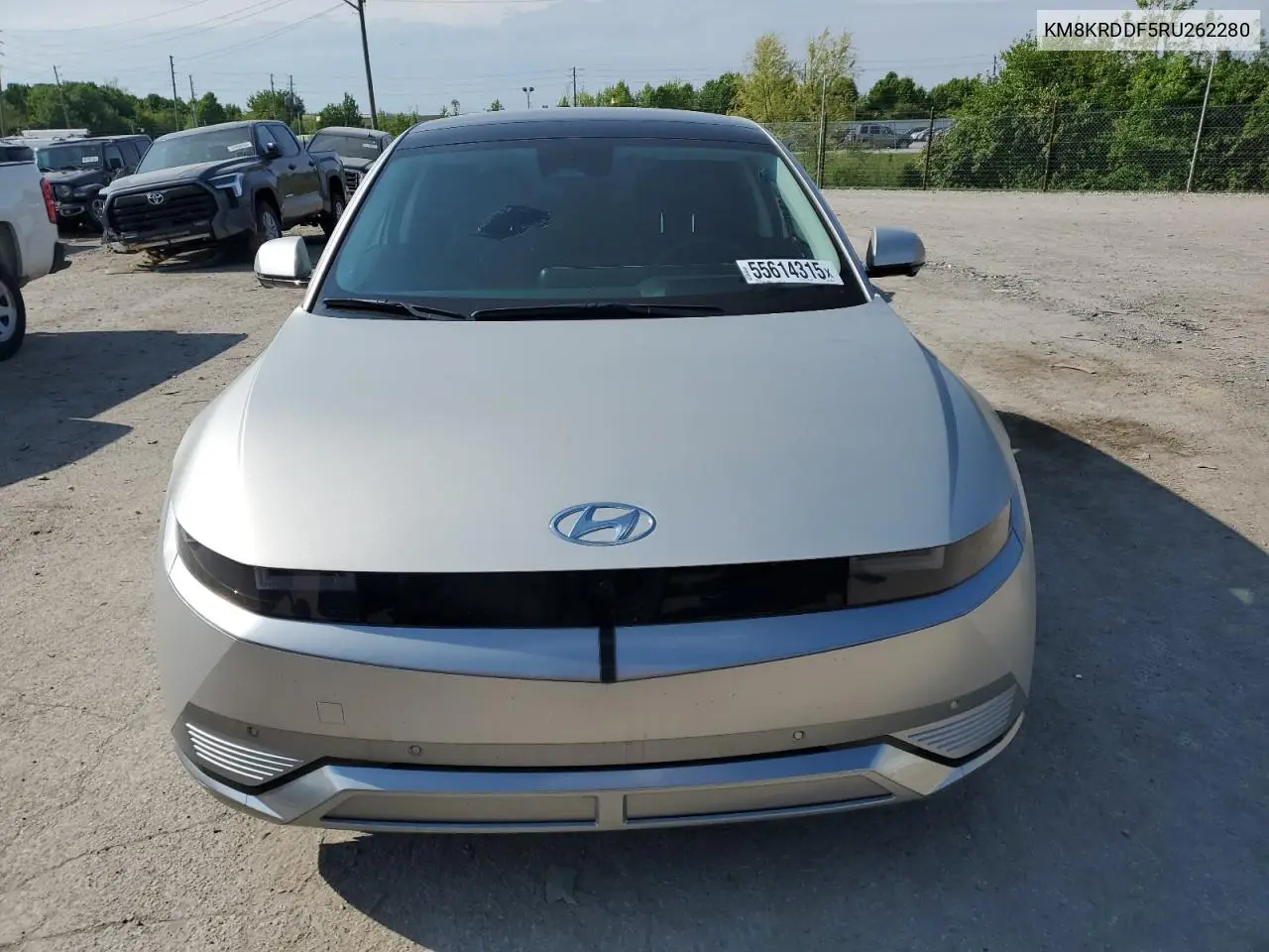 2024 Hyundai Ioniq 5 Limited VIN: KM8KRDDF5RU262280 Lot: 55614315