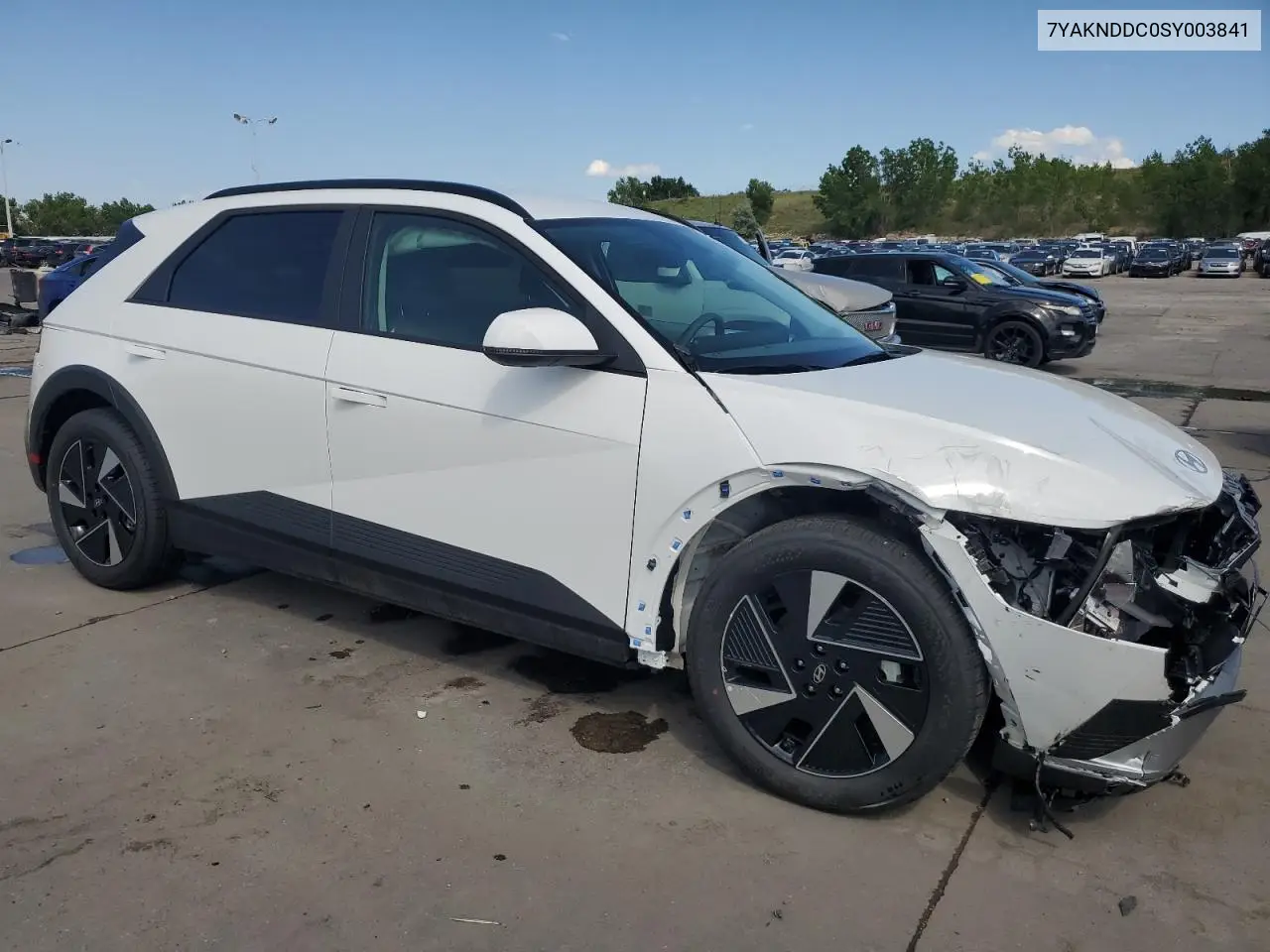 2025 Hyundai Ioniq 5 Sel VIN: 7YAKNDDC0SY003841 Lot: 62786345