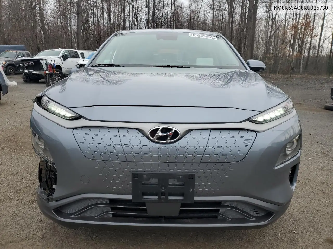 2019 Hyundai Kona Ultimate VIN: KM8K53AG8KU025730 Lot: 50863665