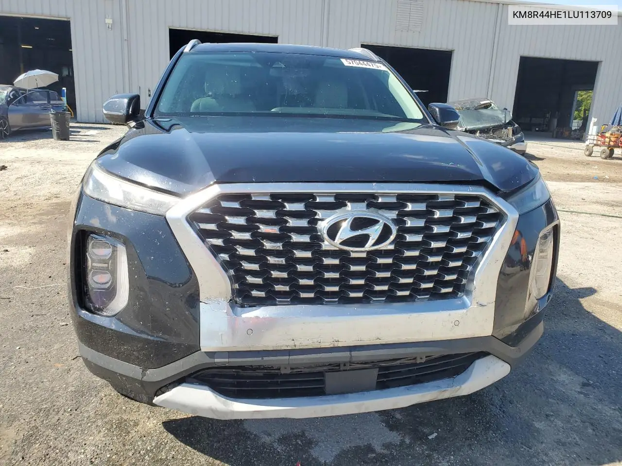 2020 Hyundai Palisade Sel VIN: KM8R44HE1LU113709 Lot: 57044475