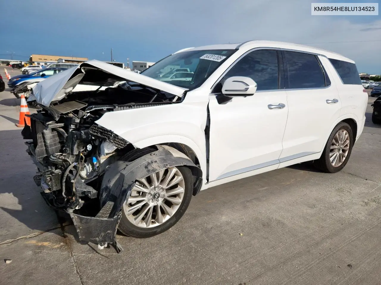 2020 Hyundai Palisade Limited VIN: KM8R54HE8LU134523 Lot: 63201205