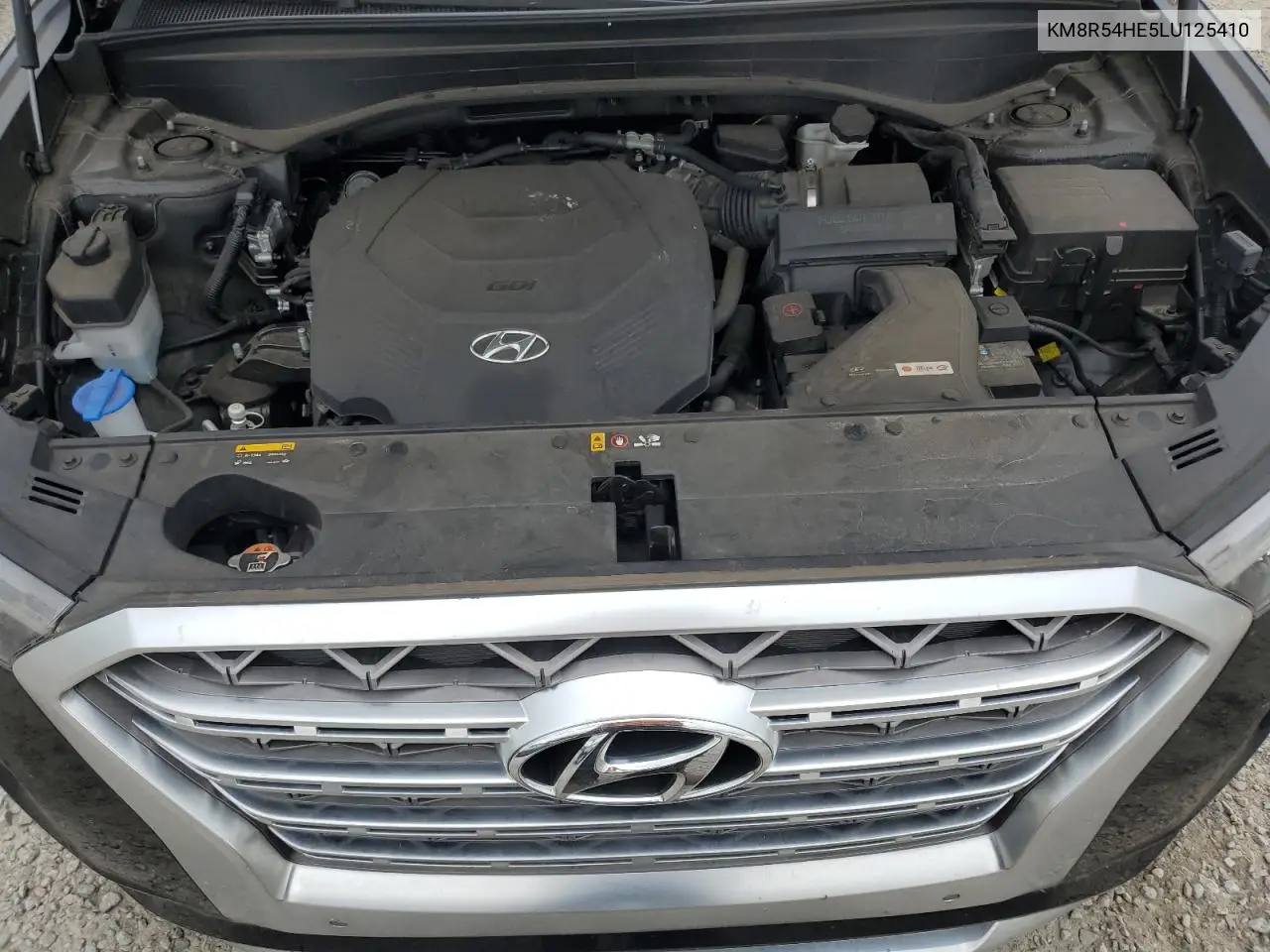 2020 Hyundai Palisade Limited VIN: KM8R54HE5LU125410 Lot: 63303495