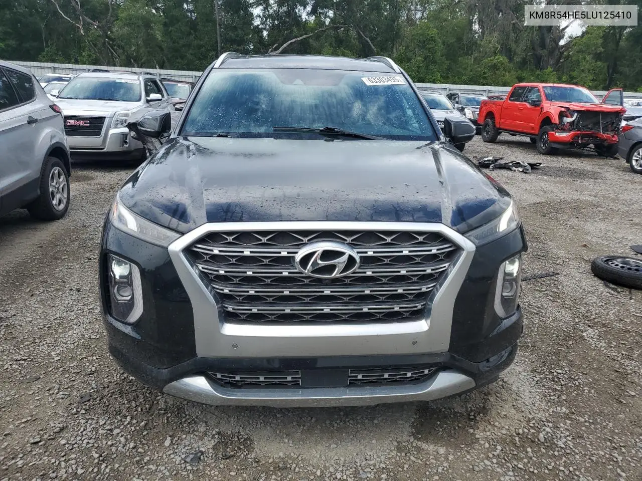 2020 Hyundai Palisade Limited VIN: KM8R54HE5LU125410 Lot: 63303495