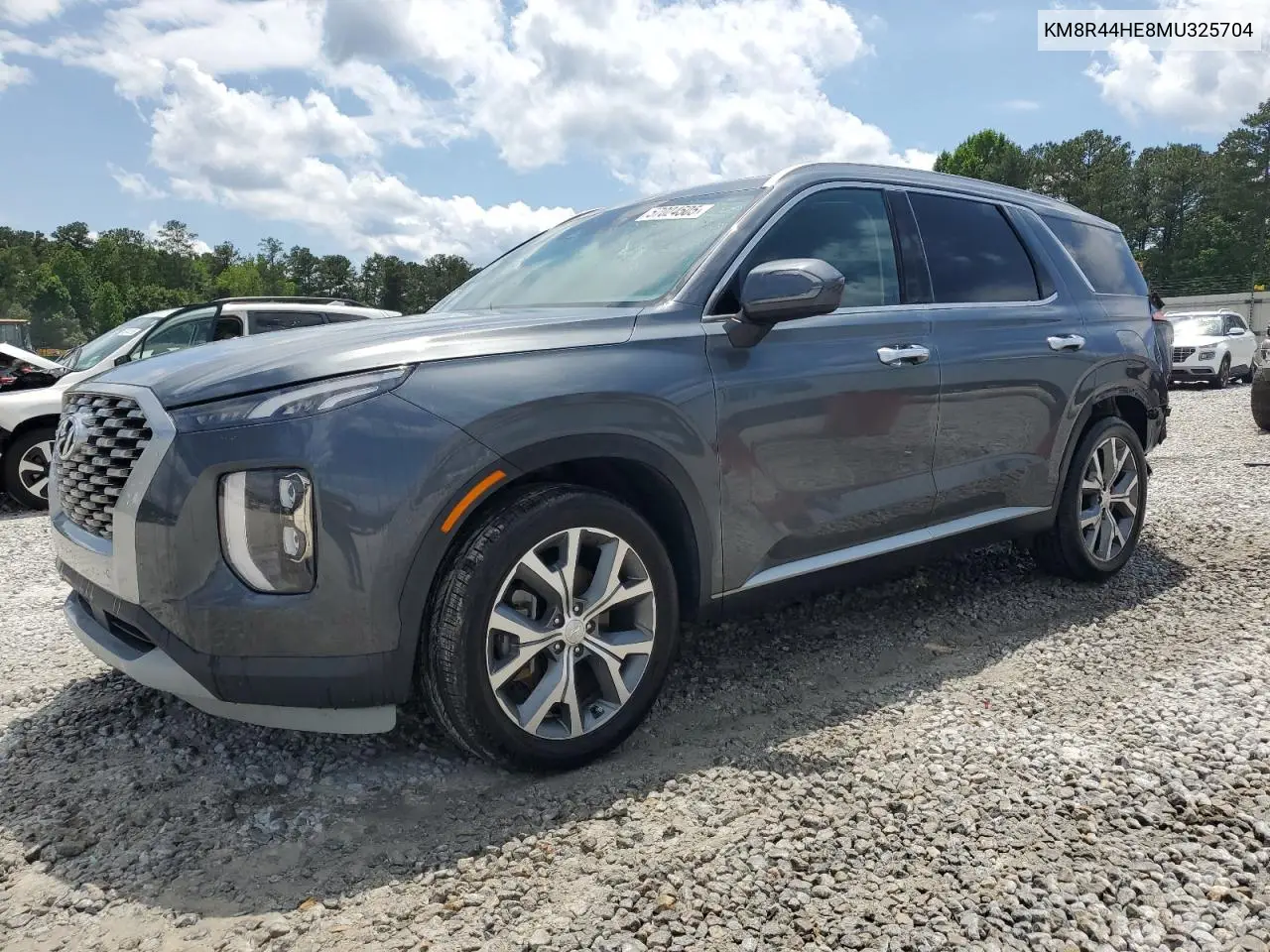 2021 Hyundai Palisade Sel VIN: KM8R44HE8MU325704 Lot: 57024505