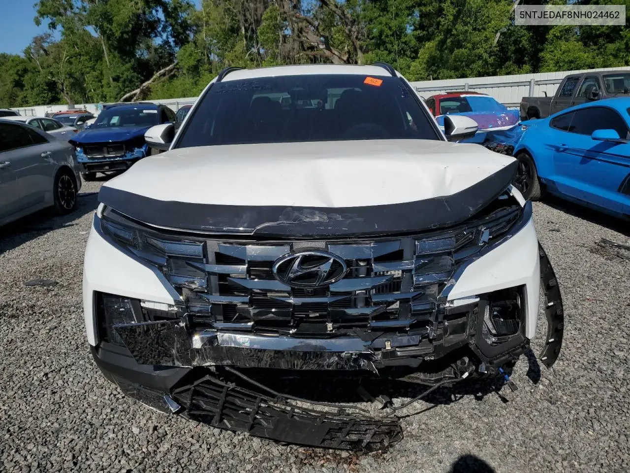 2022 Hyundai Santa Cruz Limited VIN: 5NTJEDAF8NH024462 Lot: 53758285