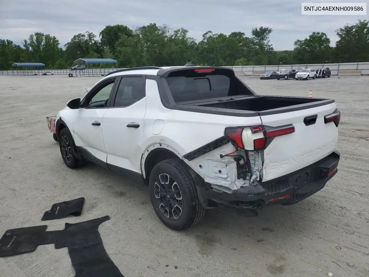 2022 Hyundai Santa Cruz Sel VIN: 5NTJC4AEXNH009586 Lot: 57462115