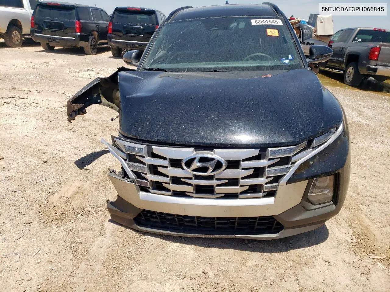 2023 Hyundai Santa Cruz Sel VIN: 5NTJCDAE3PH066845 Lot: 60602645