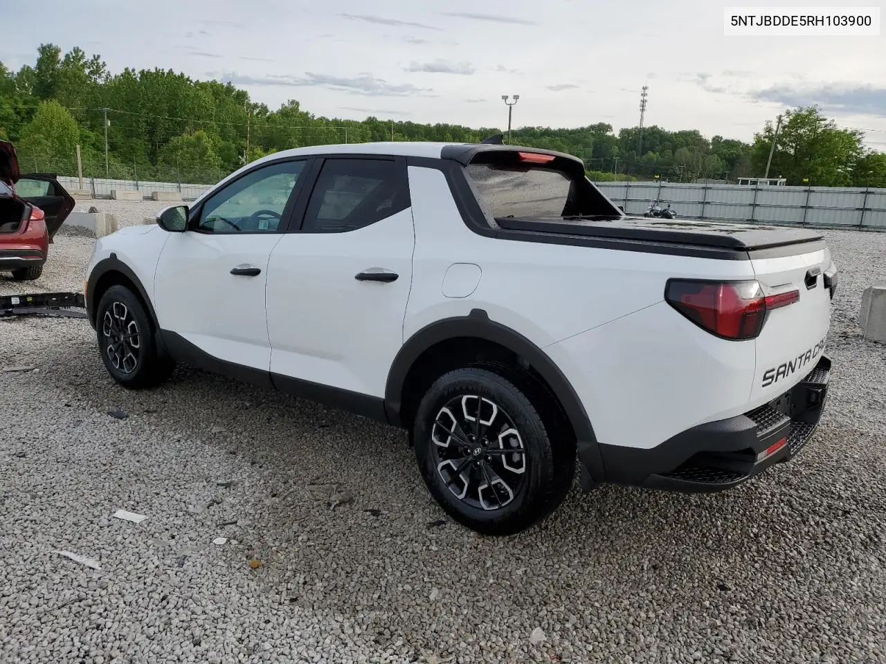2024 Hyundai Santa Cruz Sel VIN: 5NTJBDDE5RH103900 Lot: 56158155