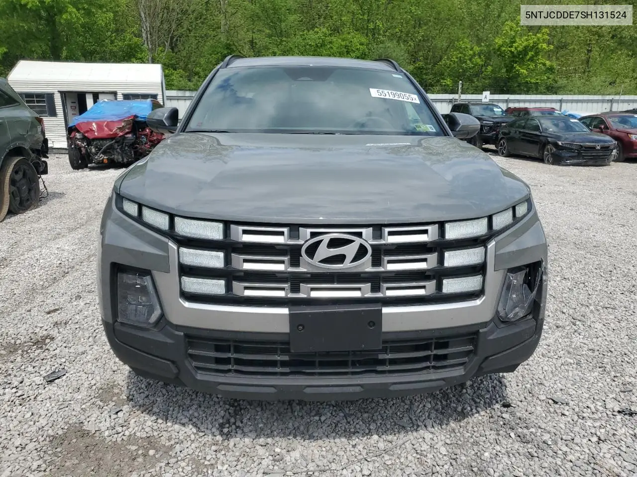 2025 Hyundai Santa Cruz Sel VIN: 5NTJCDDE7SH131524 Lot: 55199055