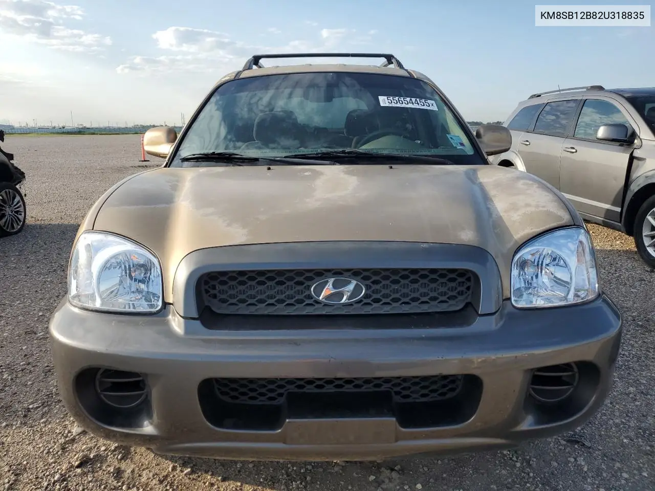 2002 Hyundai Santa Fe Gl VIN: KM8SB12B82U318835 Lot: 55654455