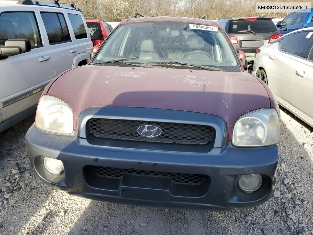 2003 Hyundai Santa Fe Gls VIN: KM8SC13D13U352811 Lot: 49345065