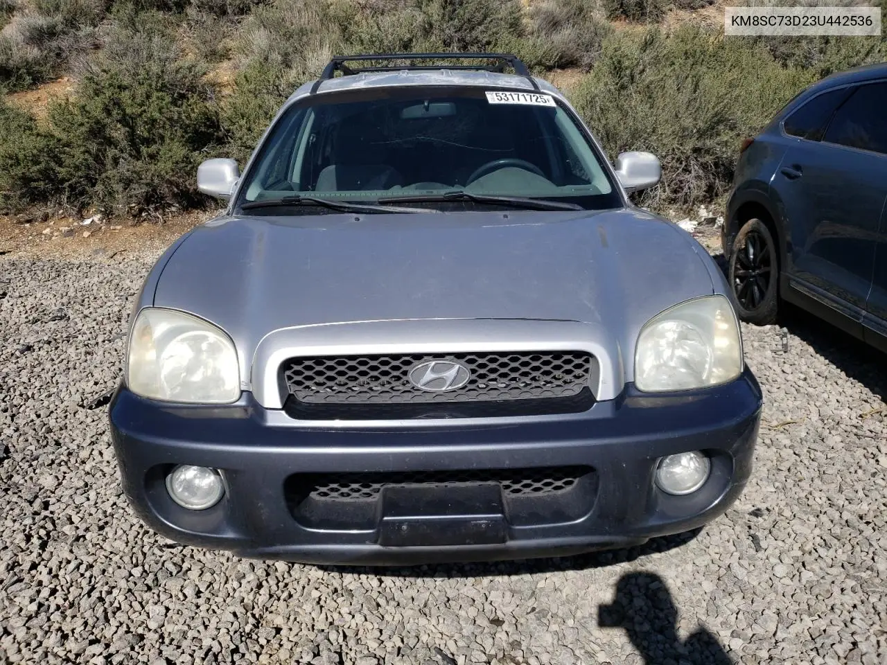 2003 Hyundai Santa Fe Gls VIN: KM8SC73D23U442536 Lot: 53171725