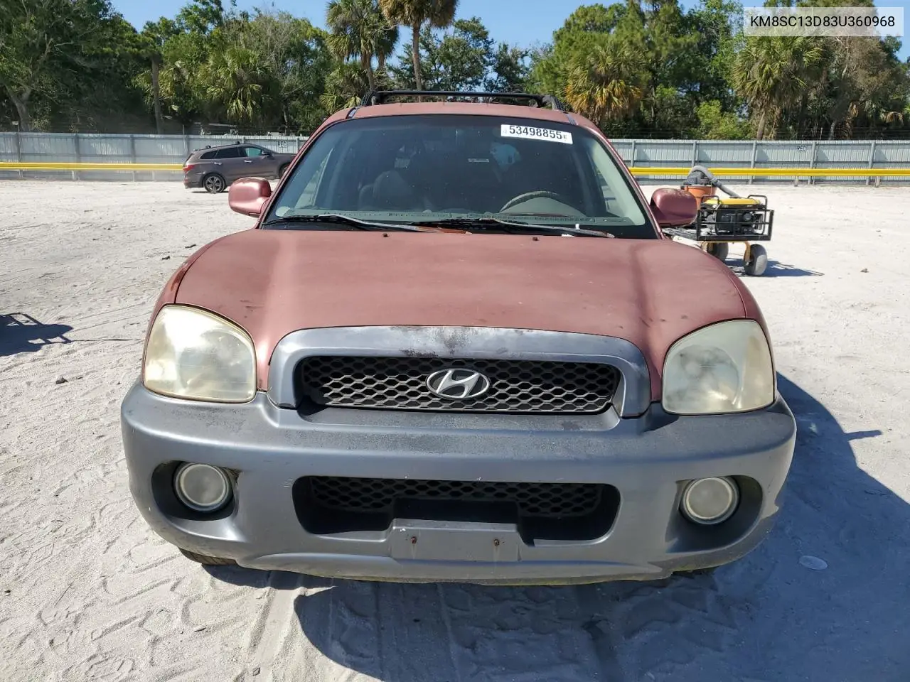 2003 Hyundai Santa Fe Gls VIN: KM8SC13D83U360968 Lot: 53498855
