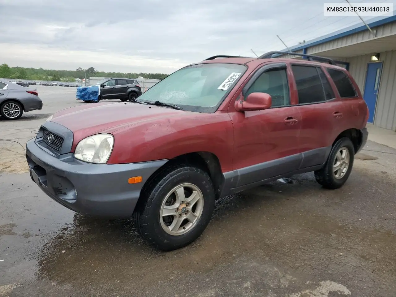 2003 Hyundai Santa Fe Gls VIN: KM8SC13D93U440618 Lot: 54324765